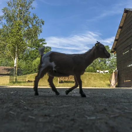 Center Parcs Le D'ailette שאמוויל