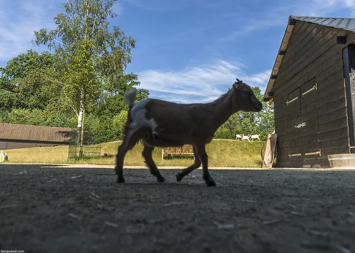 Center Parcs Le D'ailette Chamouille